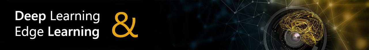 DLEL_Banner